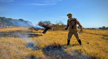 Goiás intensifica monitoramento de queimadas em áreas agrícolas